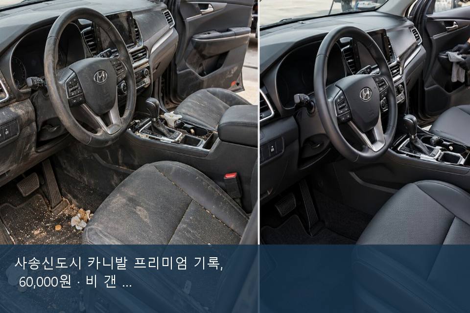 사송신도시 카니발 프리미엄 기록, 60,000원 · 비 갠 뒤의 작업